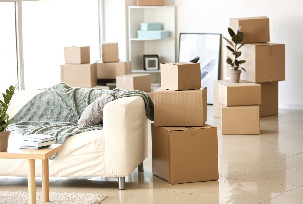 The Best Time to Rent an Apartment A DataDriven Guide