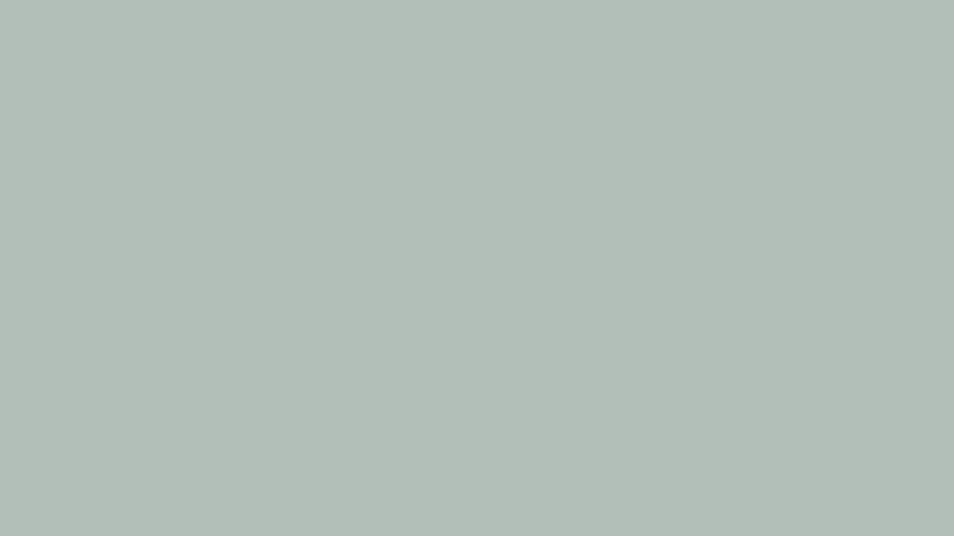 Ash Gray Color