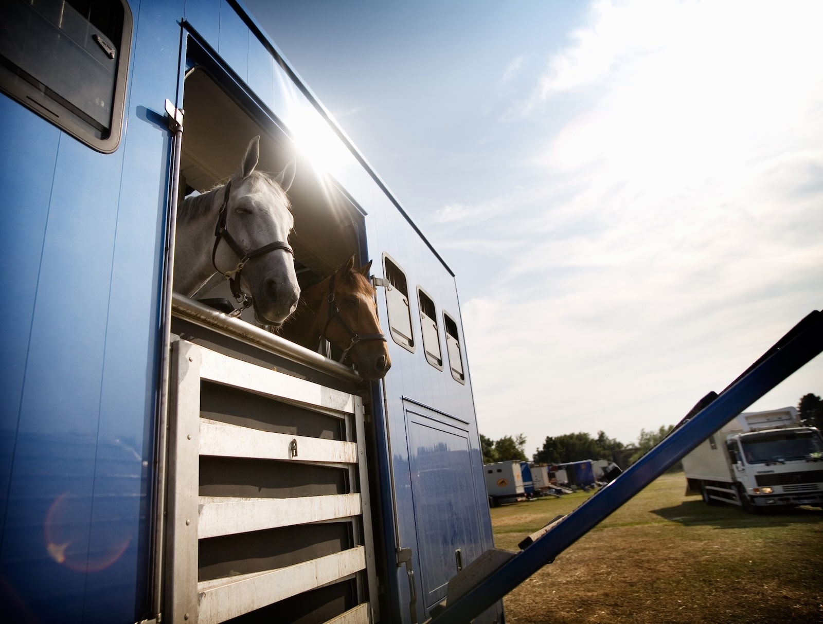 How to Travel with a Horse: Essential Tips for Safe and Enjoyable Journeys