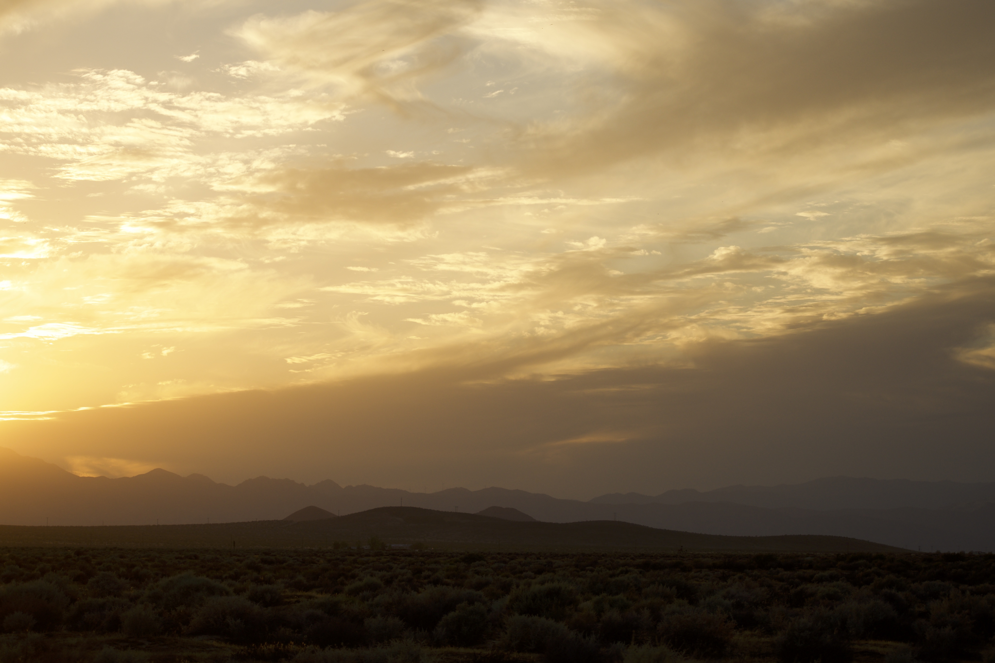 Express Interest in Jacob