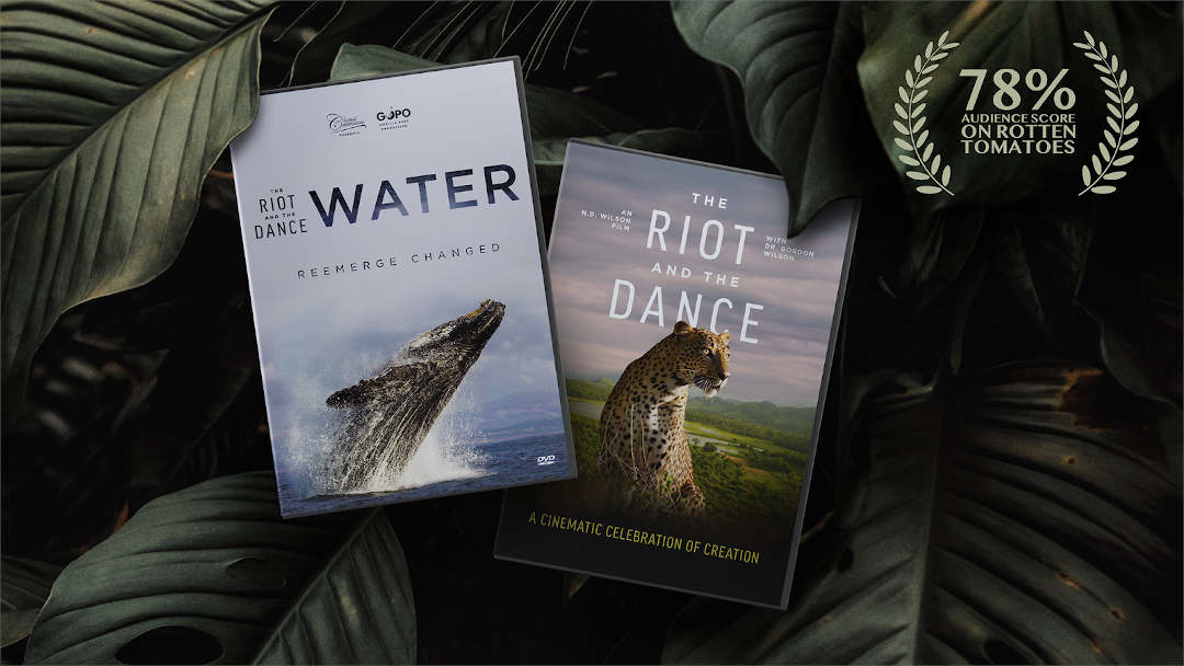 The Riot and the Dance DVDs