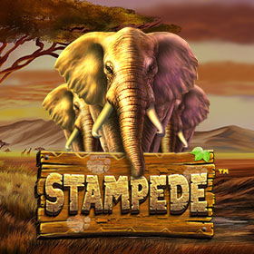 betsoft_stampede_any