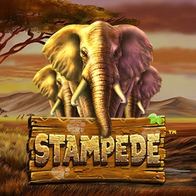 betsoft_stampede_any