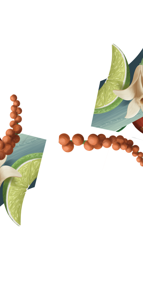 Core Product - Notas de agave - Feature