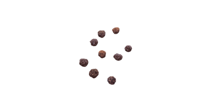 Illustration of peppercorns