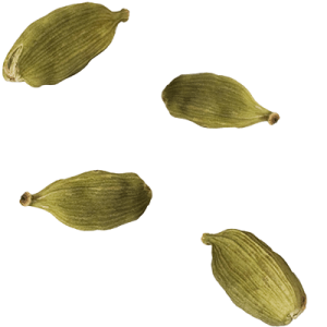Close up of Green Cardamom seeds