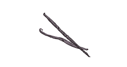Illustration of vanilla pods