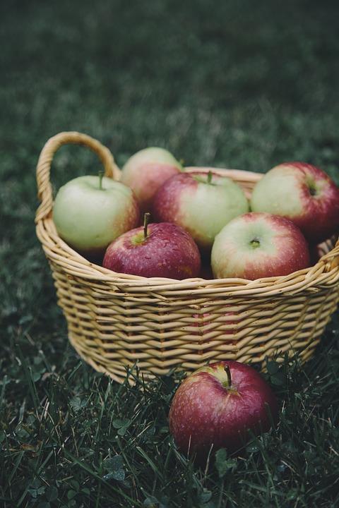 a basket full of freshly picked apples,  sat on a patch of grass. On apple placed along site the basket