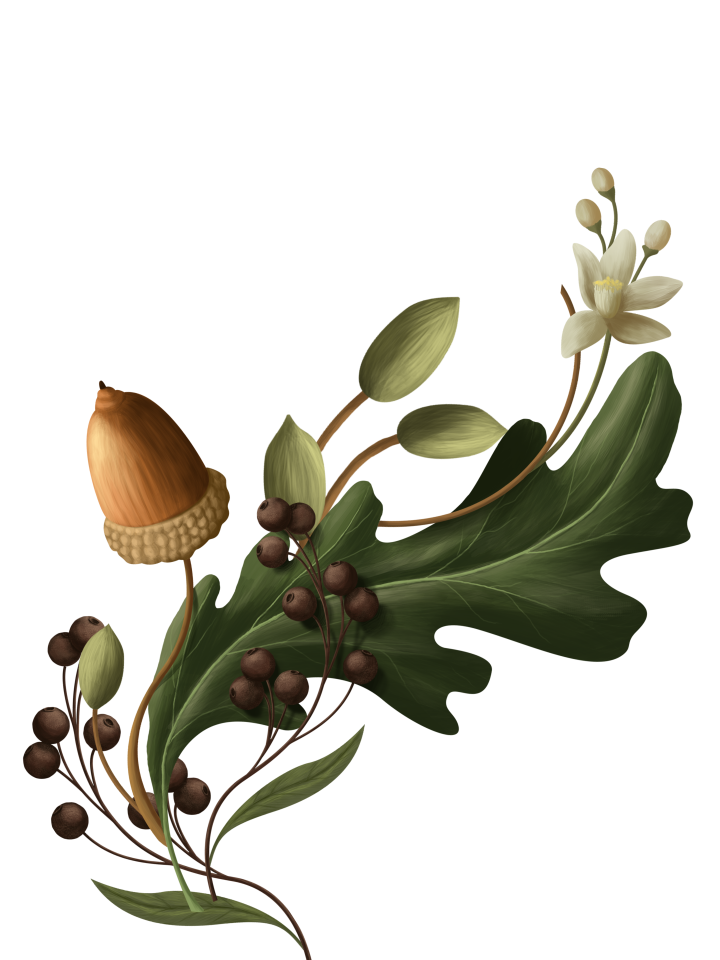 Product Carousel Spice 94