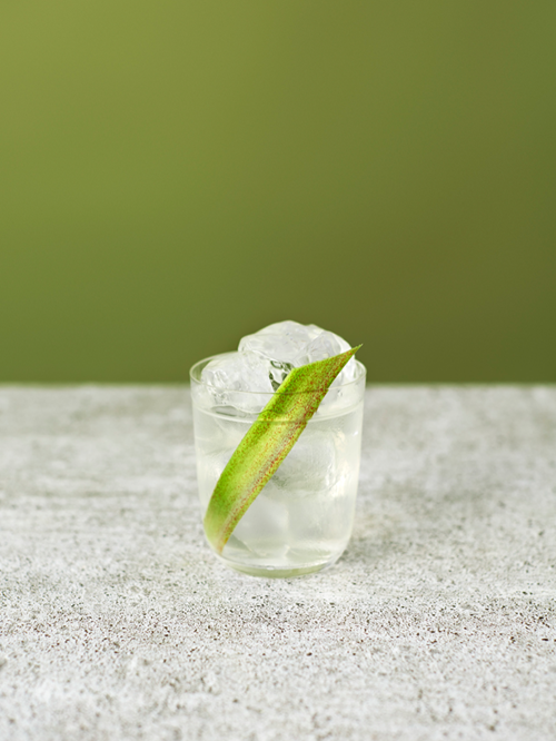 Teatime Cooler with Seedlip Garden 108, served in a clear glass with ice cubes and cucumber slice, on a white surface against a green background.