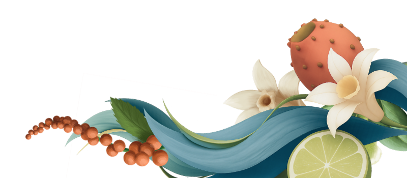 Notas de Agave Top Right