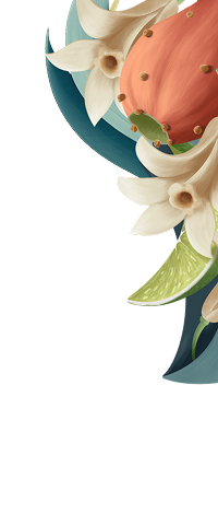 Notas de Agave Top Right