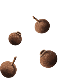close up of all spice