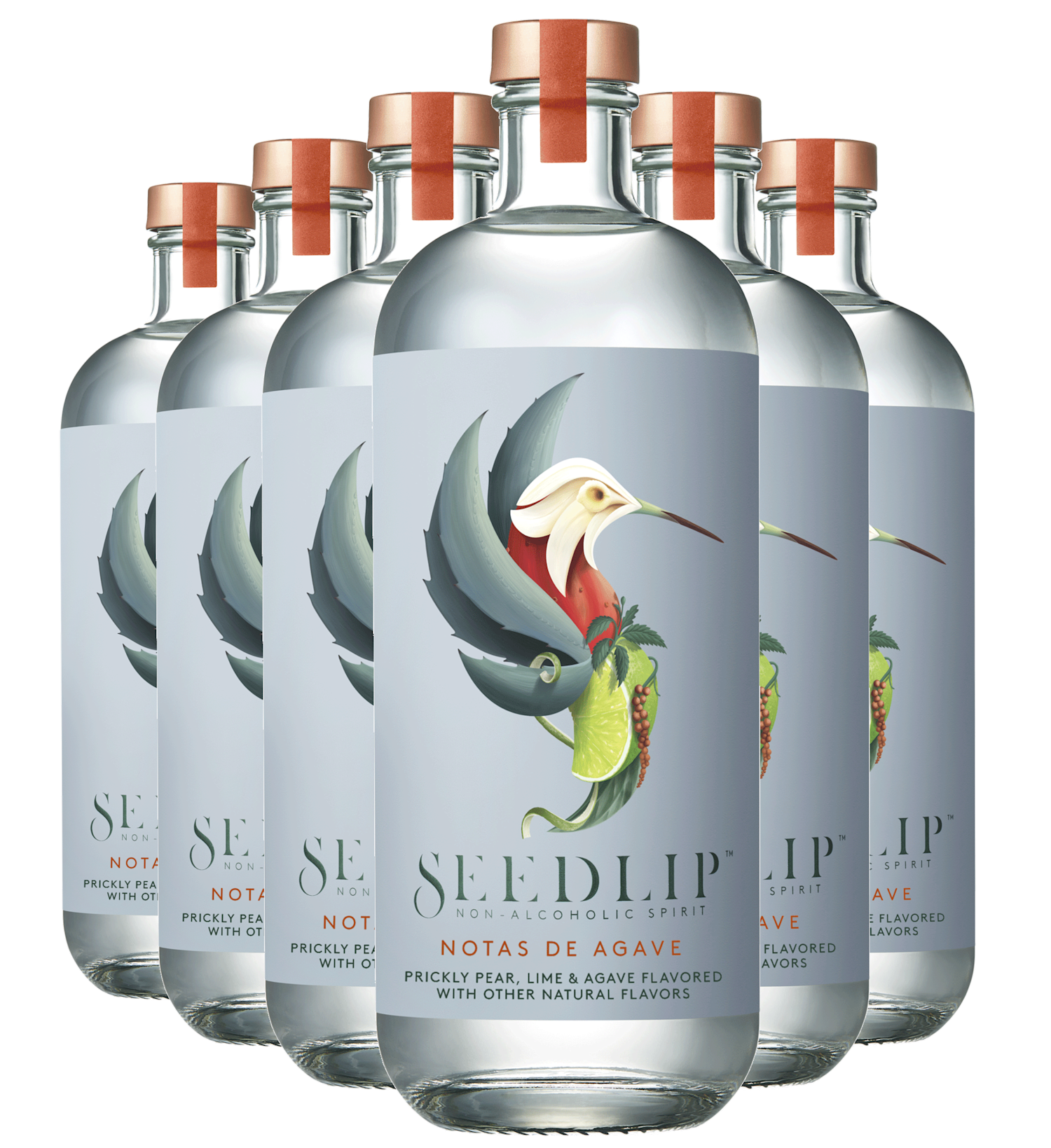 Seedlip Notas De Agave (Case of Six) | Seedlip
