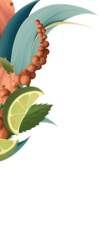 Notas de Agave Top Left