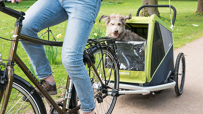 dog bike trailer for 2 dogs