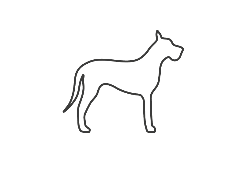 Hunderassen-die-eventuell-in-den-Croozer-Hundefahrradanhaenger-Dog-XL-hineinpassen