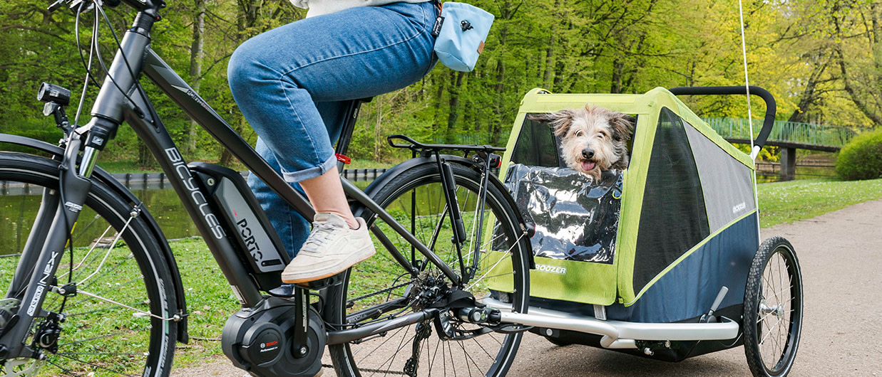 Croozer bike trailer for dogs