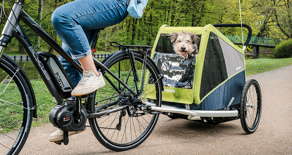croozer mini dog bike trailer