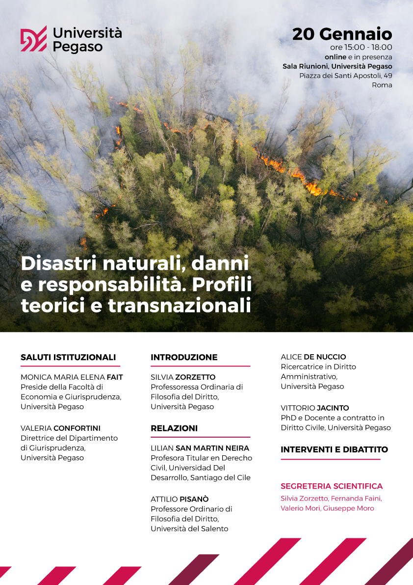 Disastri naturali, danni e responsabilità. Profili teorici e transnazionali.