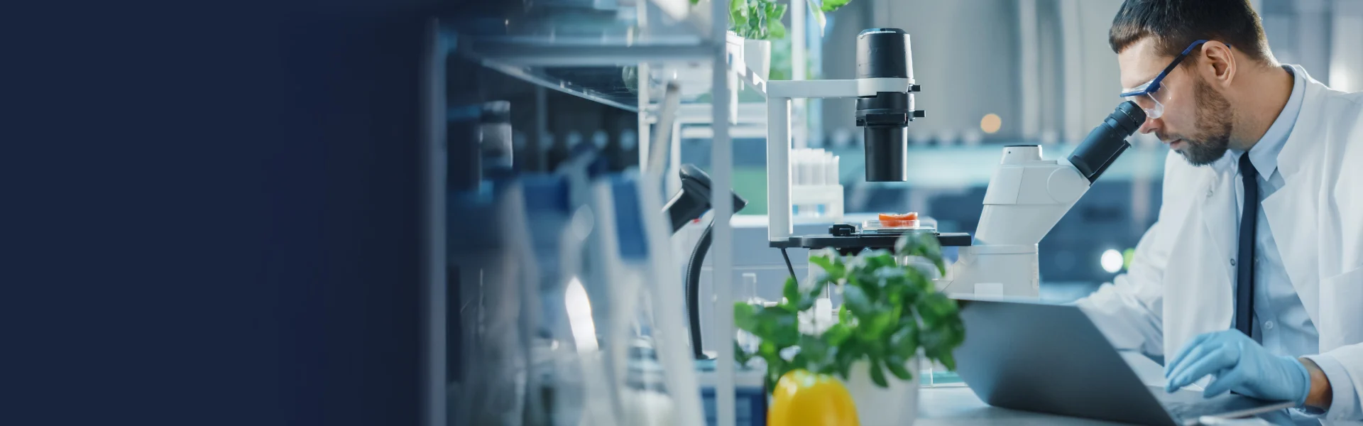 Scienze della Nutrizione Umana