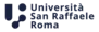 Logo SANRAFFAELE