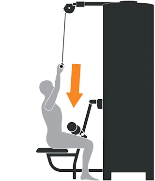 RMS Lat Pulldown Movement Library