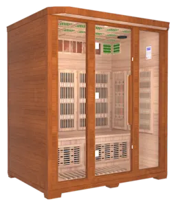 Wellness USA Pro 10 Sauna (4 Person)