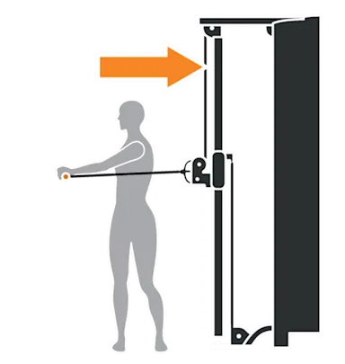 Torso Rotation Exercise RMS Movement Library