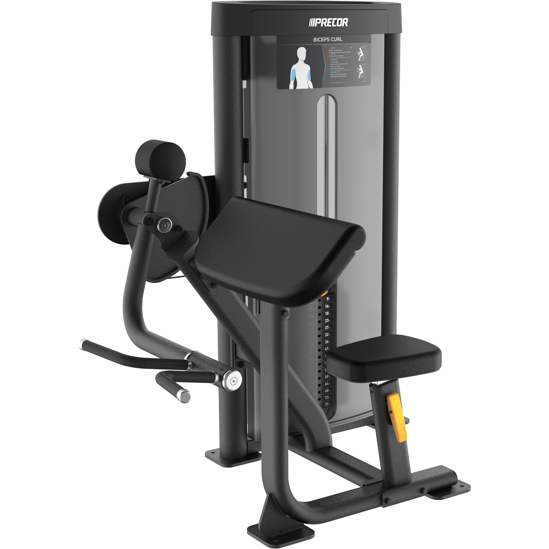 [VSL003BP] Biceps Curl