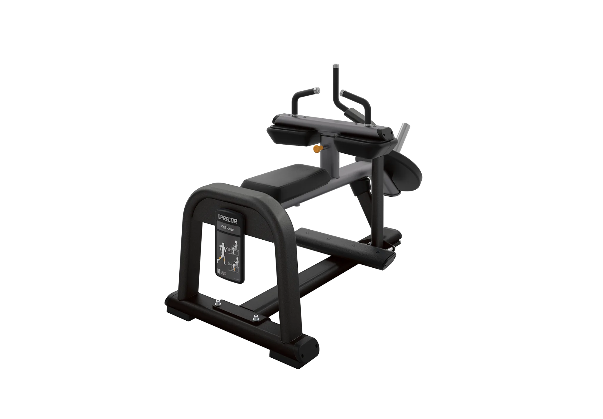 DPL Calf Raise