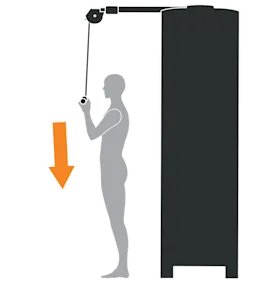 RMS ML Triceps Pushdown (Cropped)