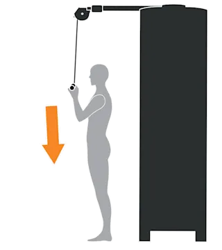 RMS ML Triceps Pushdown (Cropped)