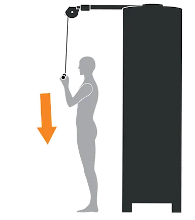 RMS ML Triceps Pushdown (Cropped)