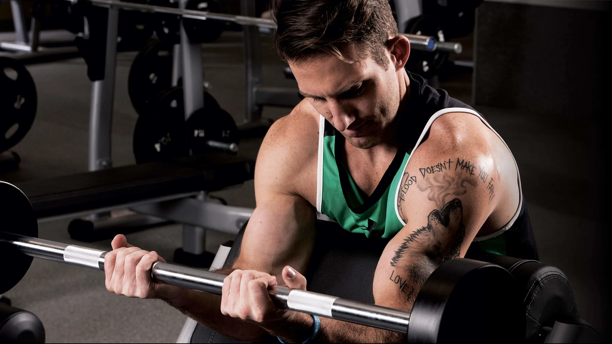 Commercial Fitness Benches, Racks, Workout Benches Fitness Equipment