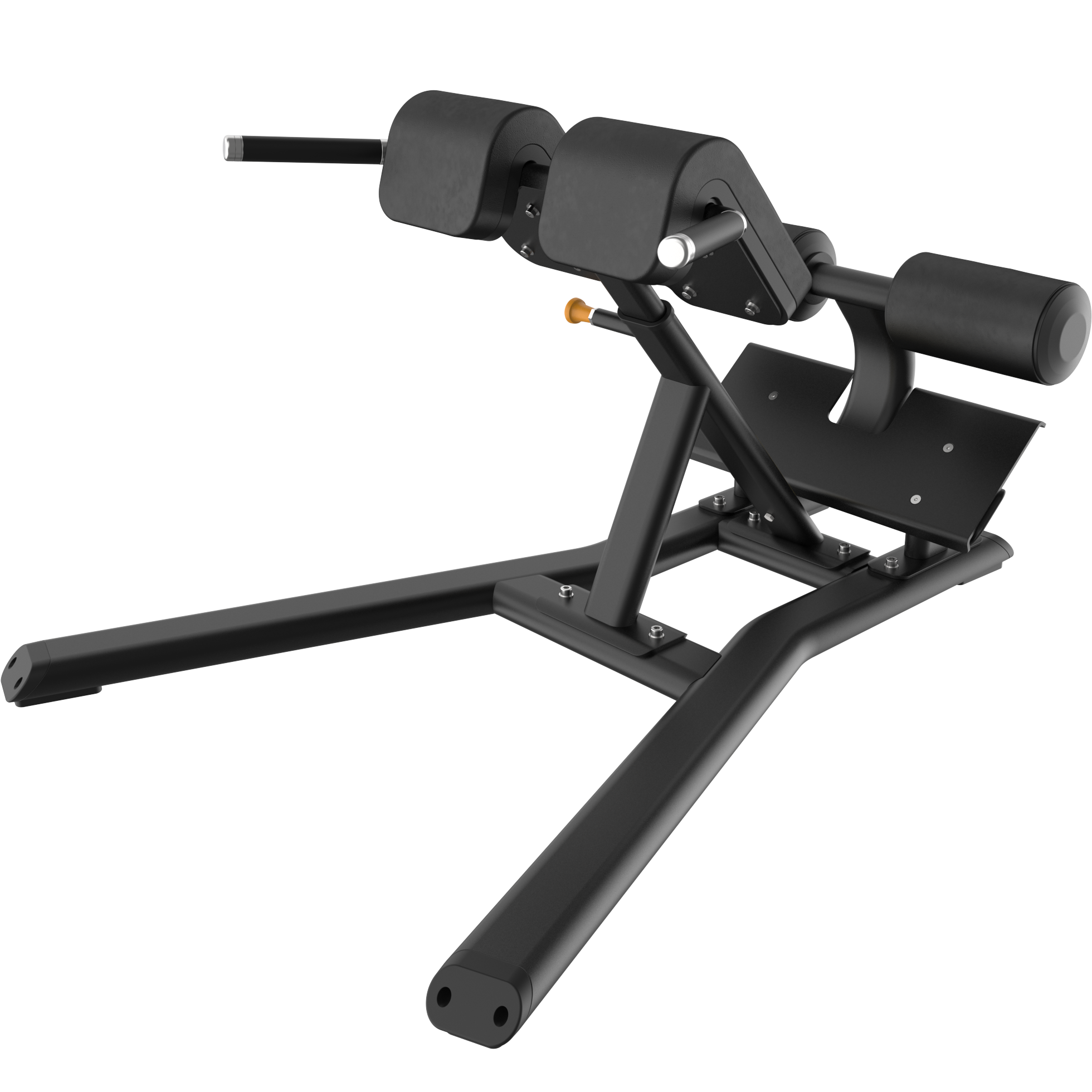 バックエクステンション - Vitality™ ベンチ＆ラック | 製品 | Precor