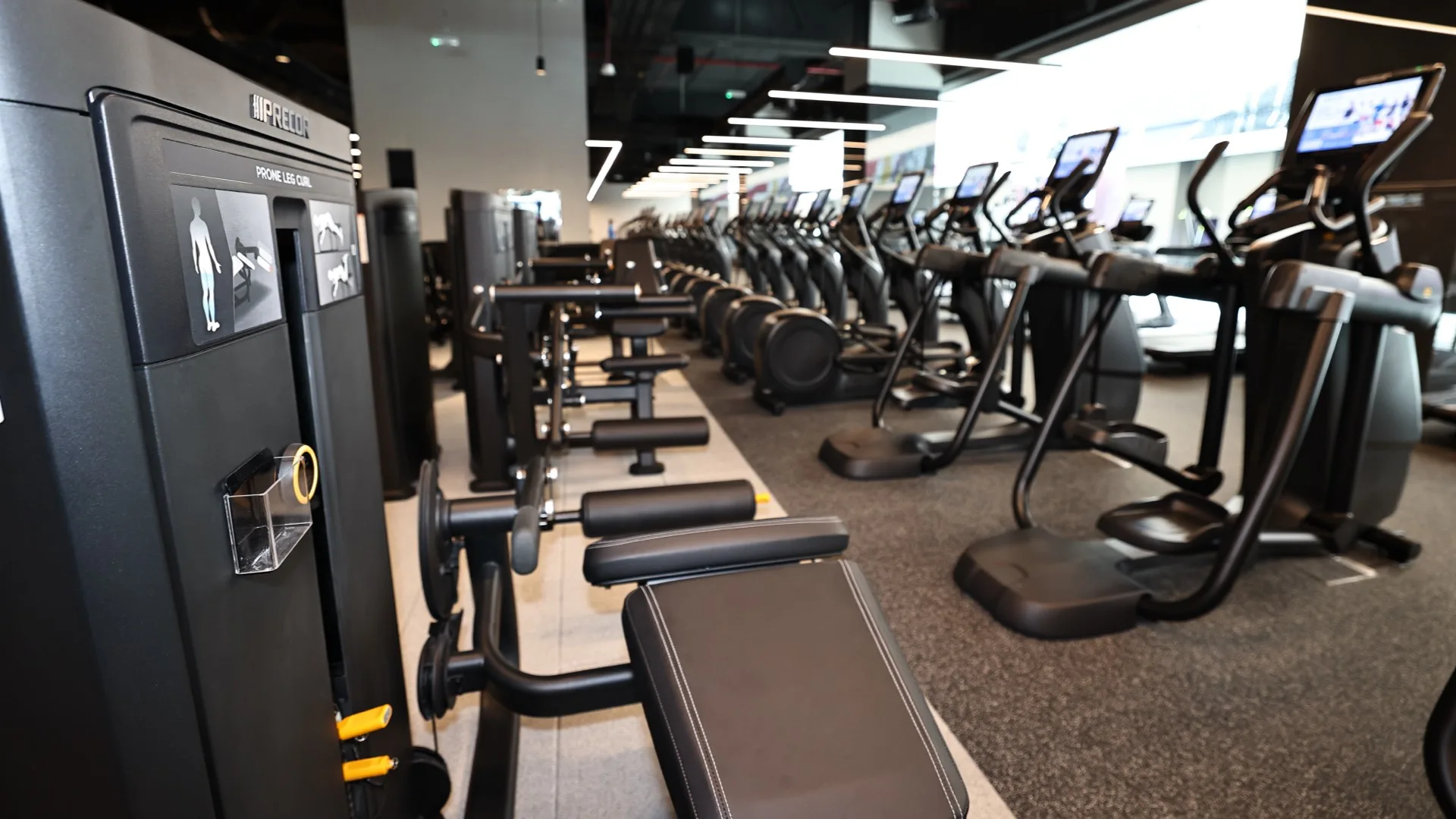 Wellfit, UAE