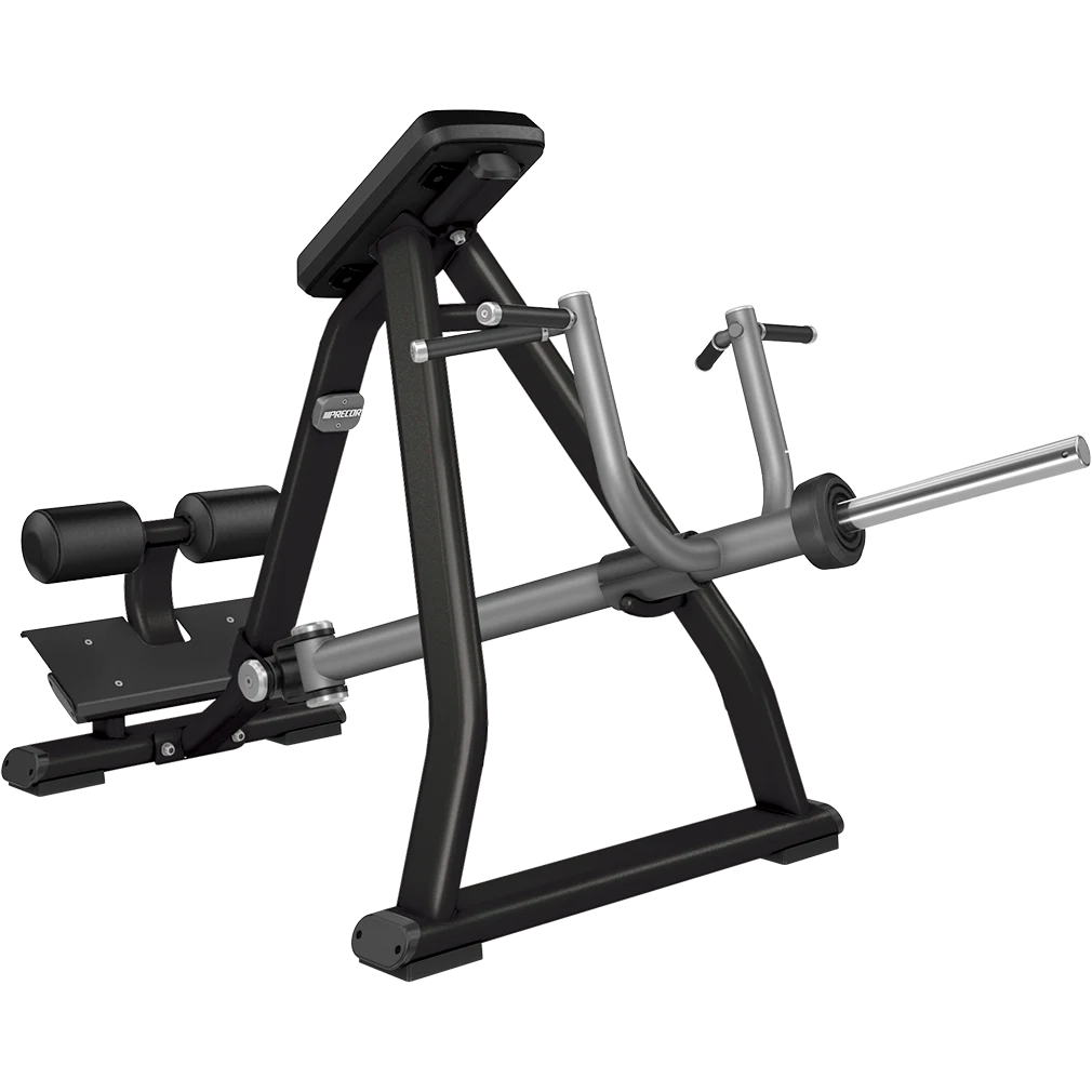 DPL0311 Incline Lever Row