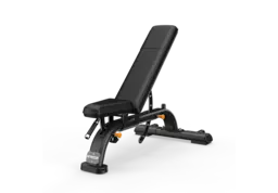 DBR Multi-Adjustable Bench