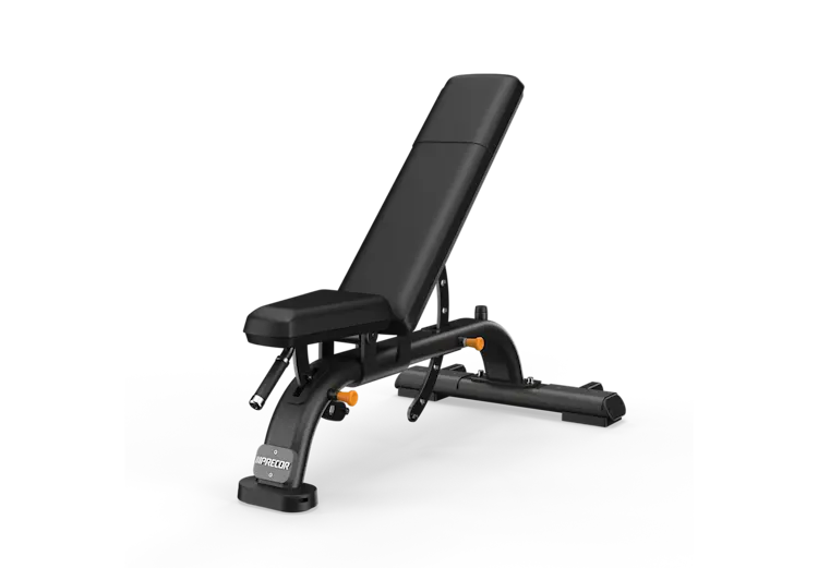DBR Multi-Adjustable Bench