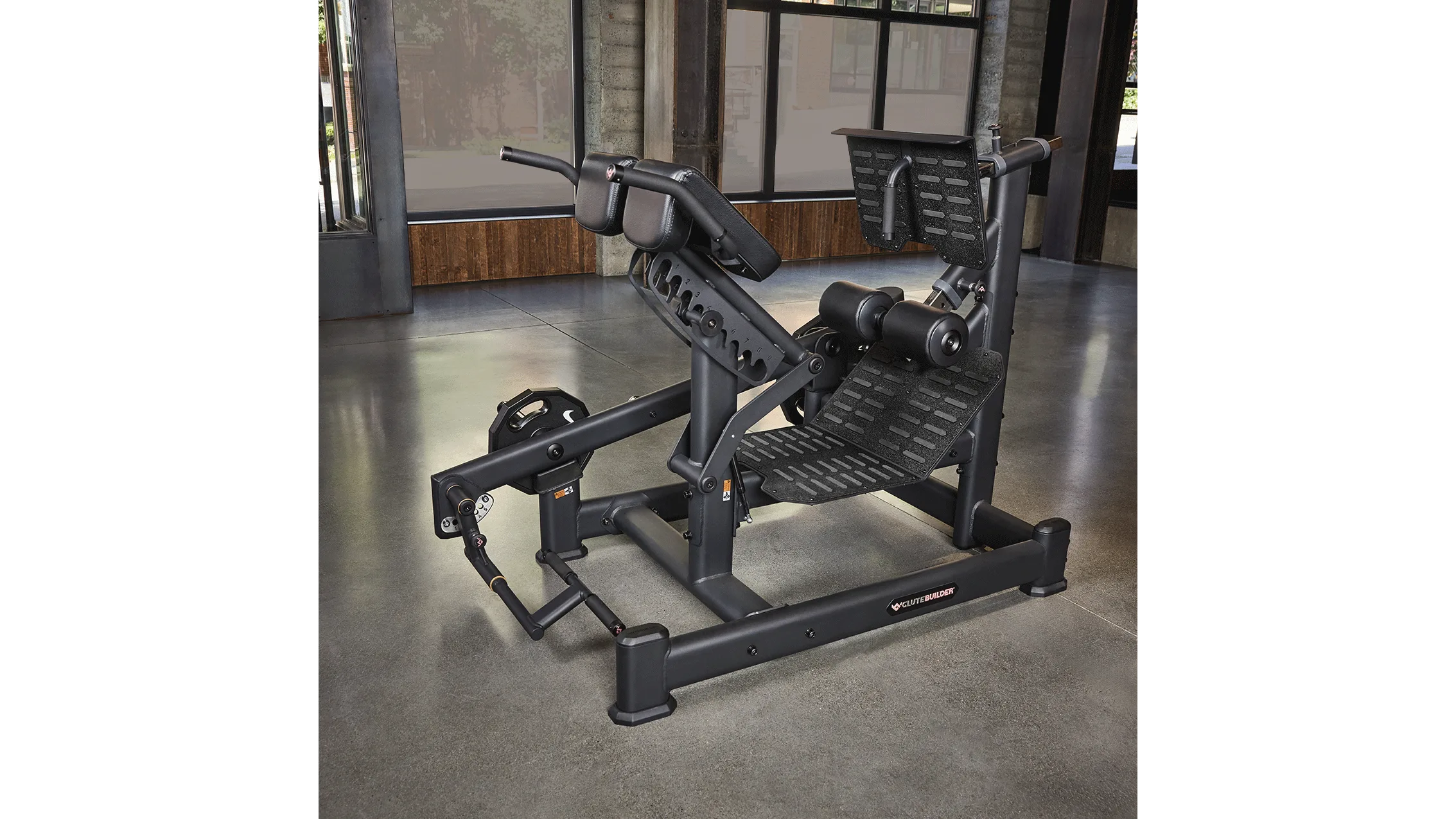 Dual 45 Hip Extension Image in Gym
