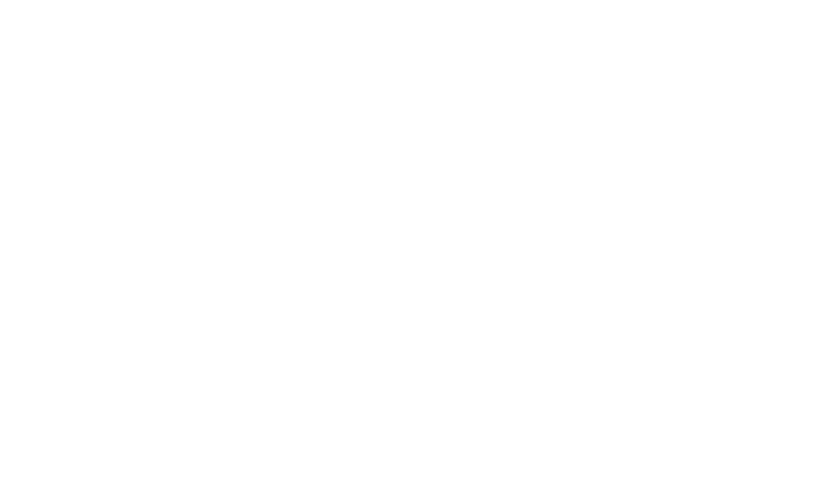 Breakaway Logo - White - Large