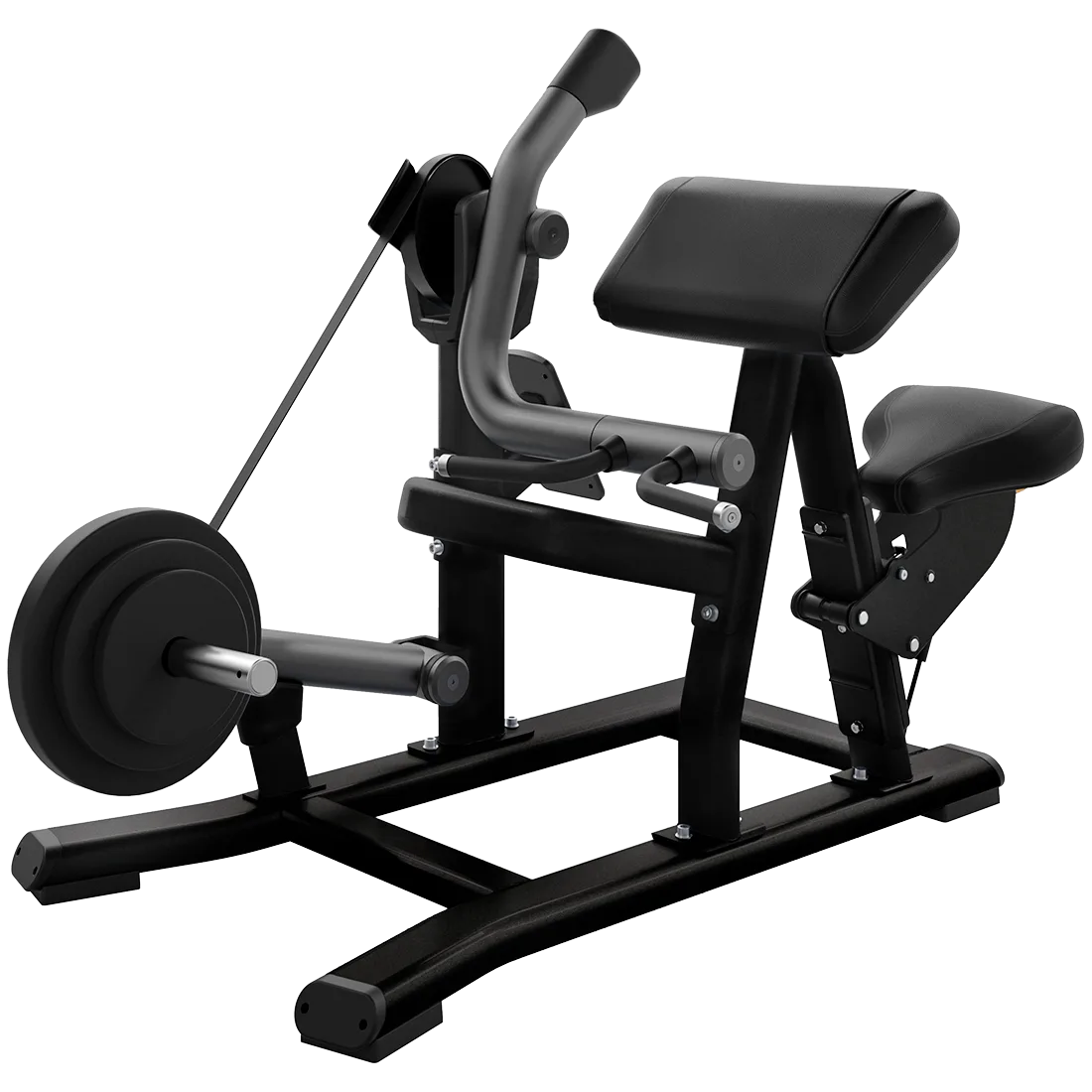 DPL0520 DPL Biceps Curl