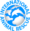 IAR logo png