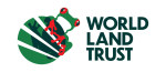 WLT Logo 2024 JPEG