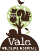 Vale Logo NO BACKGROUND