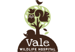 Vale Logo NO BACKGROUND