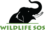 WSOS Elephant Logo