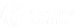 Diagrama Foundation