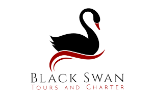black-swan-tours